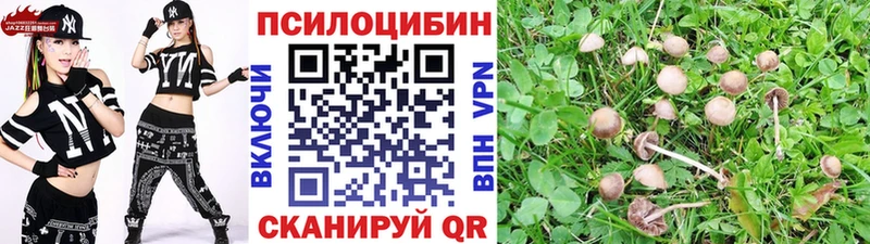 Галлюциногенные грибы MAGIC MUSHROOMS кракен ССЫЛКА Копейск