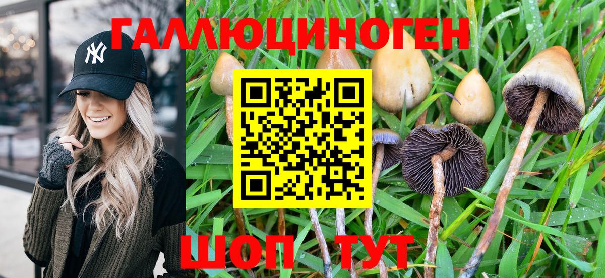 Галлюциногенные грибы Psilocybine cubensis  Вход с VPN  Копейск 